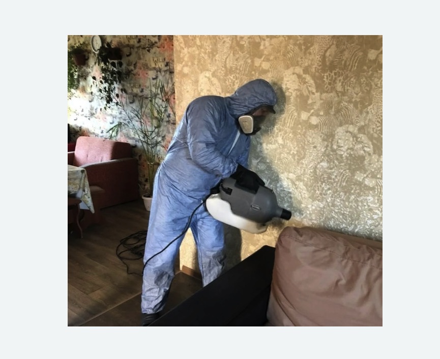 Уничтожение блох в квартире. Дорогомилово Уничтожение блох в квартире